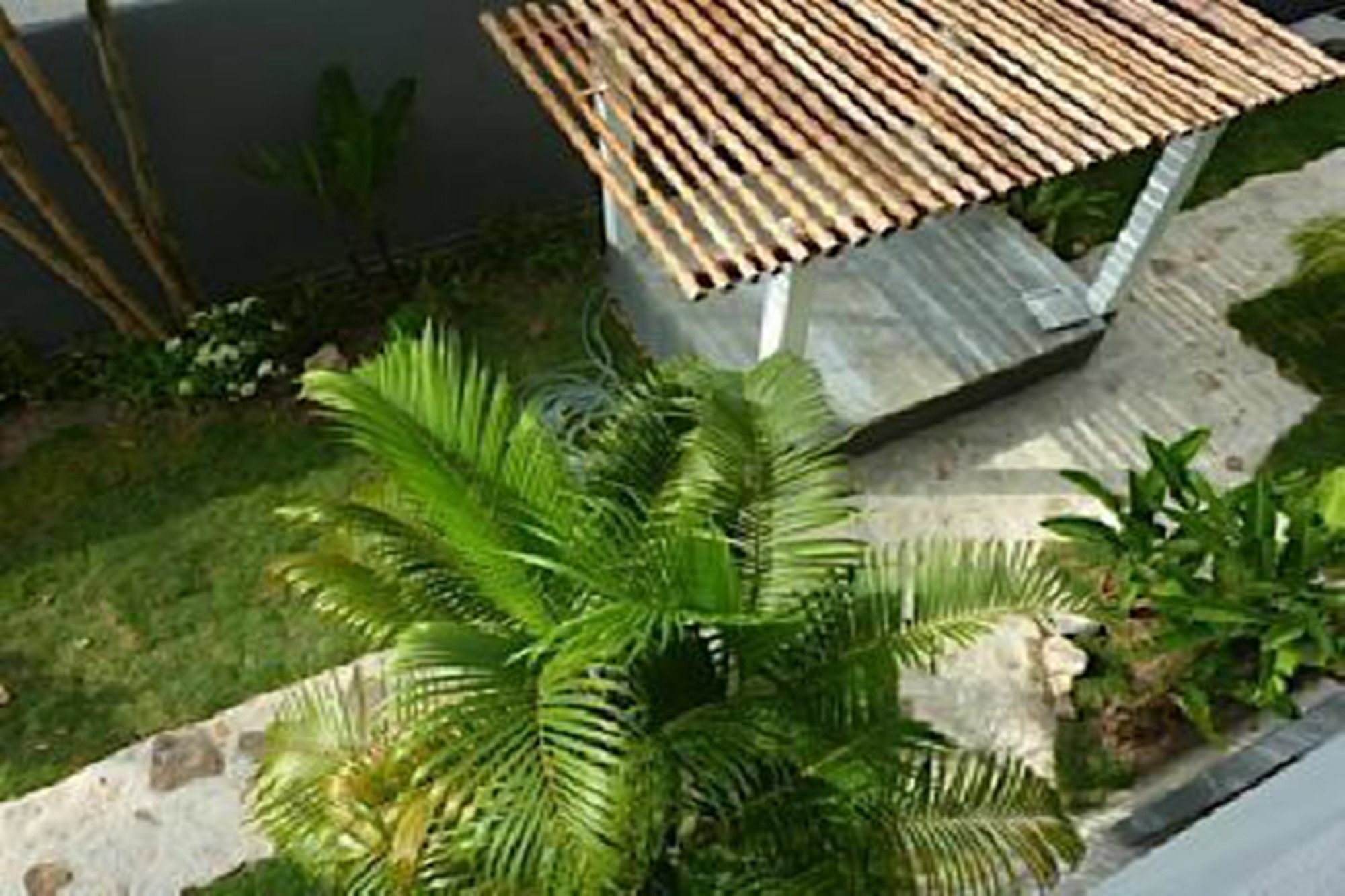Sairee Sairee Guesthouse Ko Tao Esterno foto
