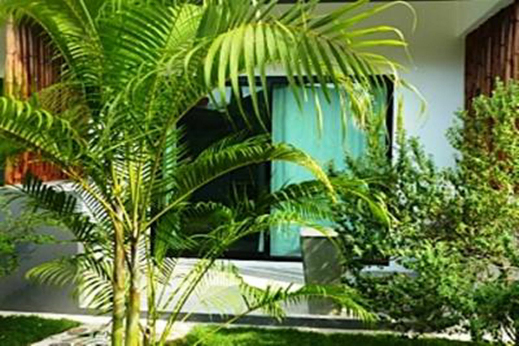 Sairee Sairee Guesthouse Ko Tao Esterno foto