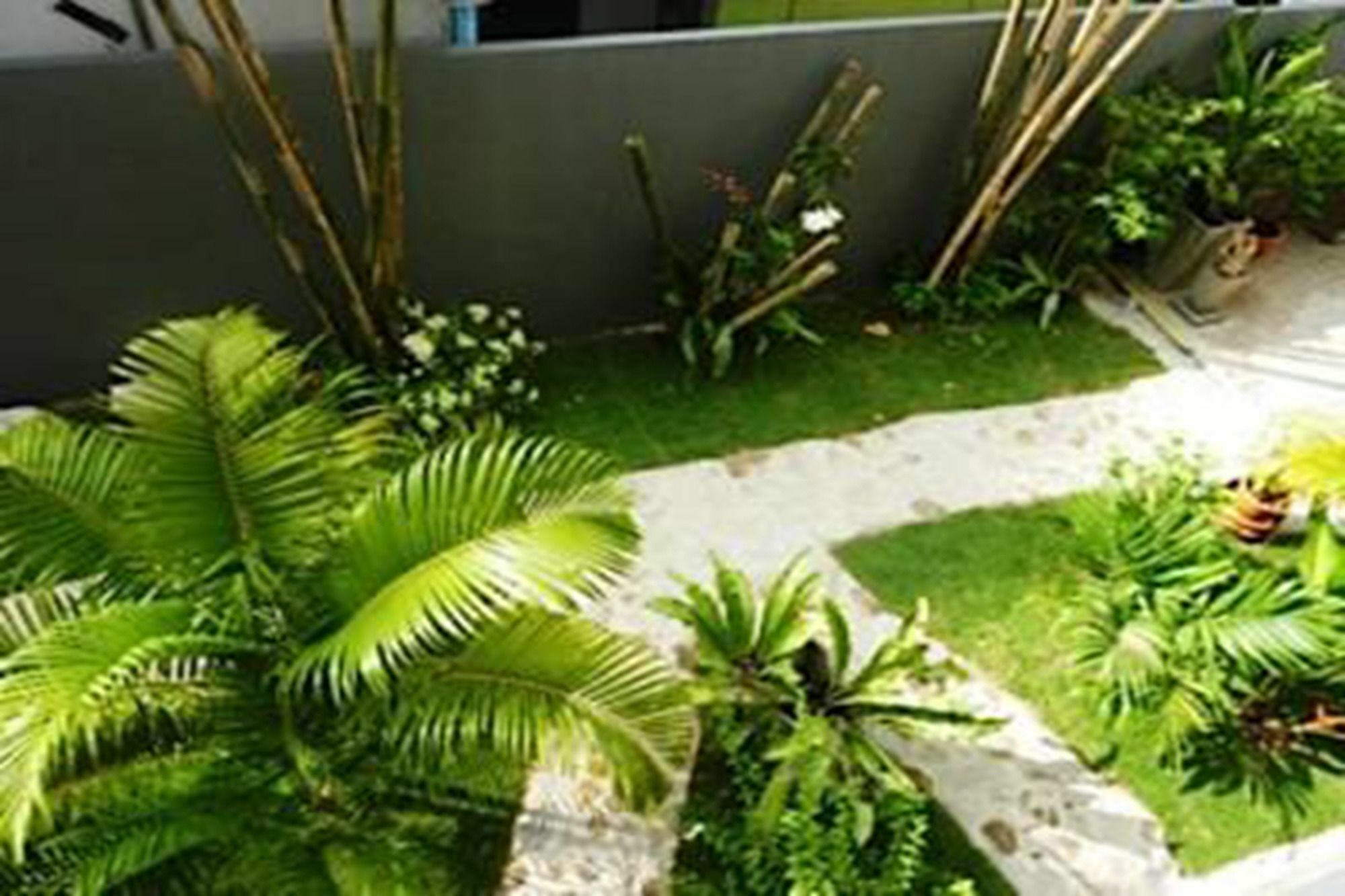 Sairee Sairee Guesthouse Ko Tao Esterno foto
