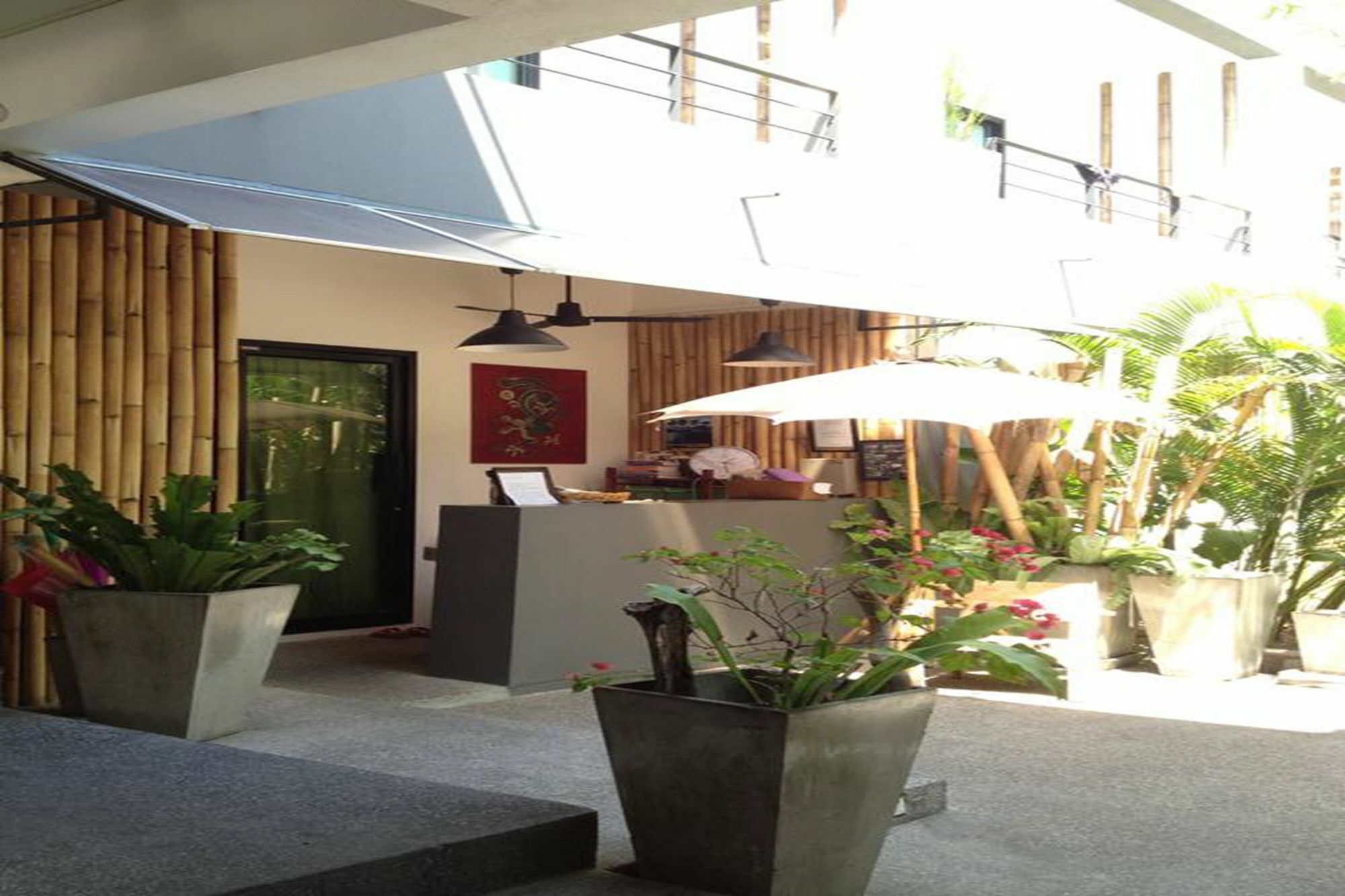 Sairee Sairee Guesthouse Ko Tao Esterno foto